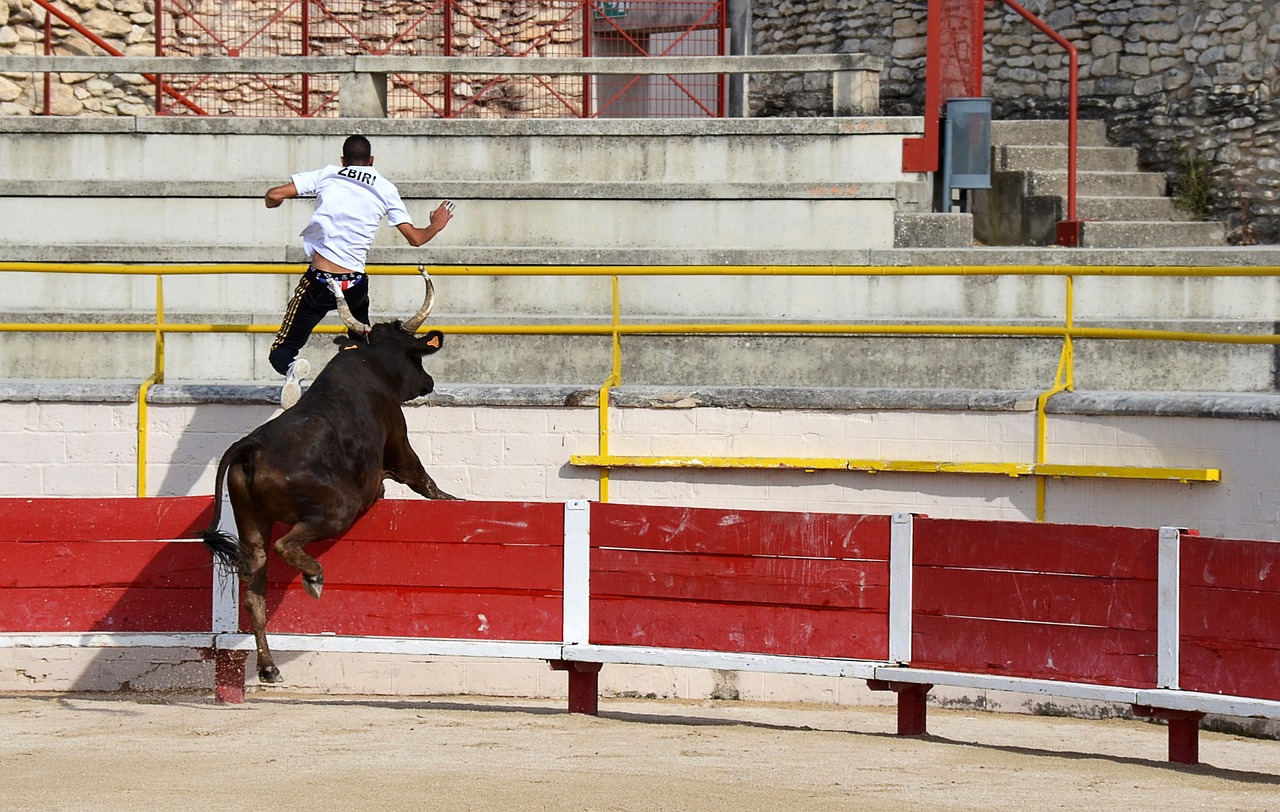 飞人